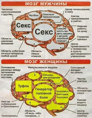 Мужчина и женщина