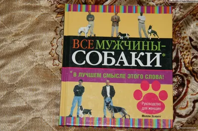 Веселые Толстые Люди Едят Фастфуд Набор Веселый Ожирением Мужчин И Женщин  Наслаждаясь Нежелательной Пищи Нездоровой Диеты И Образа Жизн — стоковая  векторная графика и другие изображения на тему Векторная графика - iStock