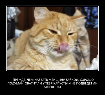 Кто сказал, что на работе сложно и не весело? Смешные картинки про работу |  Одинокий мужчина из Москвы | Дзен