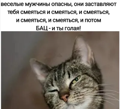 Смешные картинки-поздравления с 23 февраля для мужчин | Открытки, Смешно,  Картинки