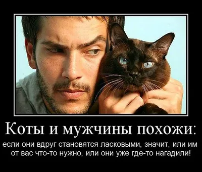 Вести угрюмый образ жизни мешает \"Айнанэ!\" в крови! - ) / АйДаПрикол .) |  Мужской юмор, Смешные высказывания детей, Веселые картинки