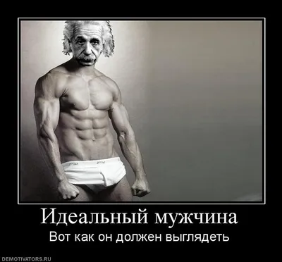 Пин от пользователя Tirador на доске Юмор | Смешные высказывания, Смешные  открытки, Смешно
