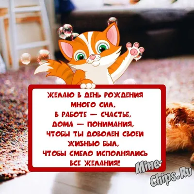 веселые старики танцуют шаблон страницы. концепция досуга или активного  увлечения пожилых мужчин и женщин Иллюстрация вектора - иллюстрации  насчитывающей танцор, актеров: 241380509