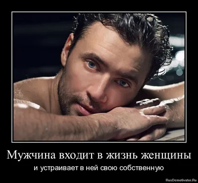 Веселые толстые люди есть фаст-фуд установили веселый брюзгливый  наслаждаться мужчин и женщин вредной еды нездоровой и высококалор  Иллюстрация вектора - иллюстрации насчитывающей человек, смешно: 182808316