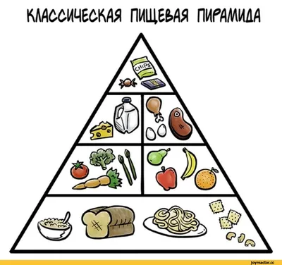 Веселые и ленивые способы потратить калории. Делюсь опытом похудения, меню,  рецептами. Мой результат минус 63 кг. | \"ОколоПП\" | Дзен