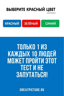 Чеснок: Юмор - Хочешь похудеть - придерживайся распорядка!..😃 | Facebook