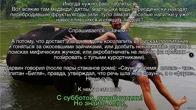 Сауна Веселый Роджер Новосибирск, Есенина, 55 🚩 цена от 600 руб.,  вместимость до 12 чел, цены и телефоны 💦 саун и бань ♨️ на ДАЙ ЖАРУ в  Новосибирске