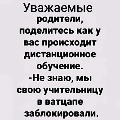 Случайно в Нете наткнулась на мемы про учебу и детей (не знаю чьи) - едва  не упала со смеху | Мудрые дети📚🤣 | Дзен