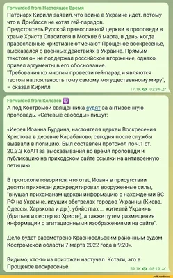 Красивые и смешные картинки про воскресенье - заряжайте позитивом себя и  близких | Пожелания | Дзен