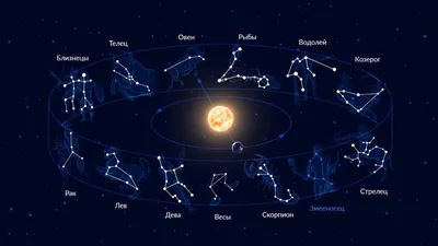 40 смешных до слез картинок с надписями