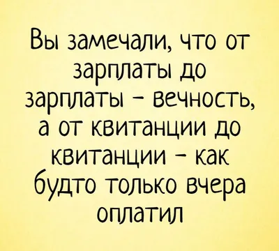 Вы замечали, что от зарплаты до зарплаты - вечность, а от квитанции до  квитанции - как будто только вч… | Веселые мысли, Юмористические цитаты,  Смешные высказывания