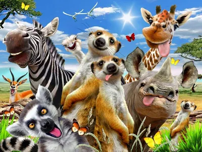 Смешные и милые животные! | Пикабу