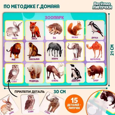 Смешные животные в движении: 14 фото для хорошего настроения — Российское  фото