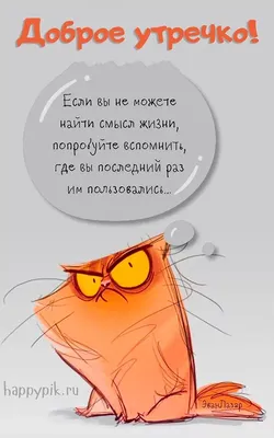 Смешные и мудрые цитаты от знаменитостей. | Записки о Бессознательном | Дзен