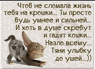 Ржачные картинки со смыслом (48 фото) » Юмор, позитив и много смешных  картинок