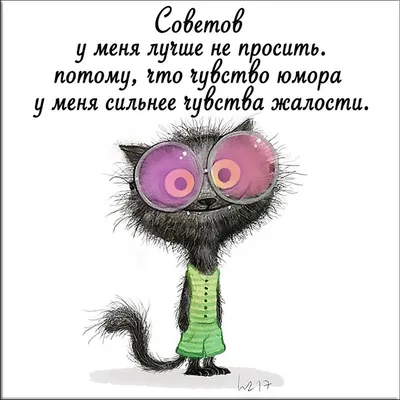 Прикольные картинки с надписями про смысл жизни - лучшая сборка