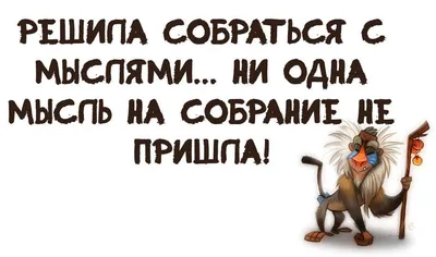 Жизненные смешные картинки со смыслом - 80 фото