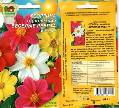 Шляпная коробка с цветами «Веселые герберы» - заказать и купить за 3 600 ₽  с доставкой в Новосибирске - партнер «База Цветов»