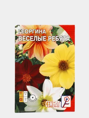 Купить - Цветы Георгина Веселые Ребята/Сем Алт/цп 0,2 гр.. Alsemya.ru -  интернет магазин семян и саженцев, газонов и удобрений!