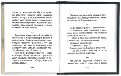 Улыбнись, обнимая ёжика! Смешные истории из приходской жизни и не только -  купить книгу в магазине Благозвонница 978-5-902716-51-8