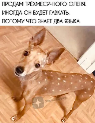 Заходи