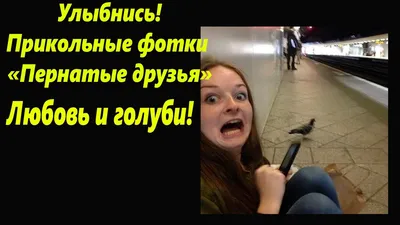 дослёз #🤣🤣🤣 #😂😂😂 #😂 #юмор #ржака #ржака😂 #ржачь #мемы #весело #смех  #ор #ору #смешно #смешнодослез #мемасики #s_u_e_t_o_l_o_g #улыбнись… |  Instagram