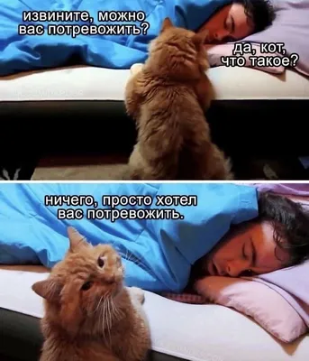 Прописи Феникс Премьер невидимки: веселые буквы 9785222271117 ФЕНИКС-ПРЕМЬЕР