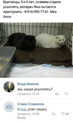 Скидка за честность!