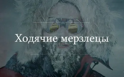 Вк (ВКонтакте, ВК) / смешные картинки и другие приколы: комиксы, гиф  анимация, видео, лучший интеллектуальный юмор.