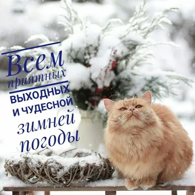 Пин от пользователя Sandra на доске Зима | Веселые выходные, Зима, Выходные