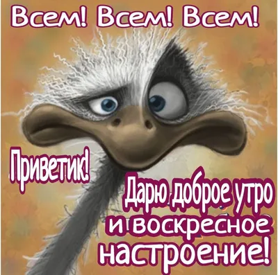 Давай учиться весело! Тетрадь на выходные 1 класс купить на сайте группы  компаний «Просвещение»