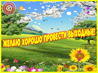 Макси Пазлы Для Малышей Крупные Веселые выходные Origami 3952760 купить за  239 ₽ в интернет-магазине Wildberries