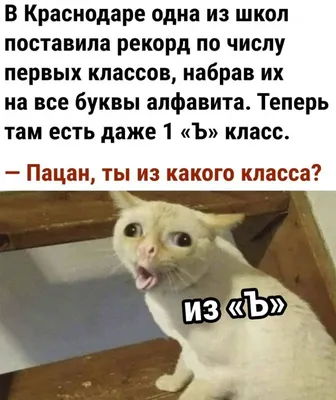 Веселые выходные в “Радуге” | ТРЦ \"Радуга\"