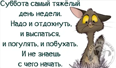 Бодо Бородо, Рики и Тира приглашают весело провести выходные на территории  колеса обозрения «Солнце Москвы» — Ассоциация анимационного кино России