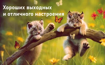 Давай учиться весело! Тетрадь на выходные 2 класс купить на сайте группы  компаний «Просвещение»