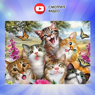 Милые смешные котята дома :: Стоковая фотография :: Pixel-Shot Studio