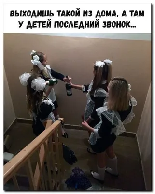 Смешные мемы