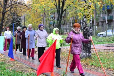 Шуточная клятва пенсионера - Дипломы, грамоты, медали - Распечатай к  празднику (бесплатно) - Каталог статей… | Юбилейные открытки, Шаблоны  этикеток, Идеи для юбилея