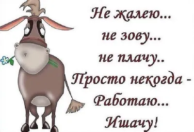 Юмор от подписчиков - смешные картинки и анекдоты | Бросаем пить вместе |  Дзен