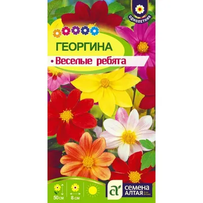 Белорусские сосиски \"Весёлые ребята\" Гродно - купить с доставкой по Москве  и области