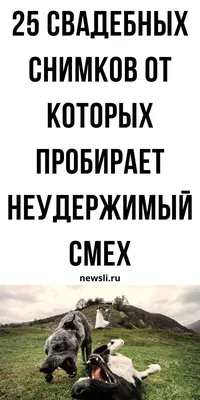 жизнь вместе. веселая влюбленная пара. романтические отношения мужчины и  женщины. любовь в действии. романтика и желание Стоковое Изображение -  изображение насчитывающей бобра, поцелуй: 219955825