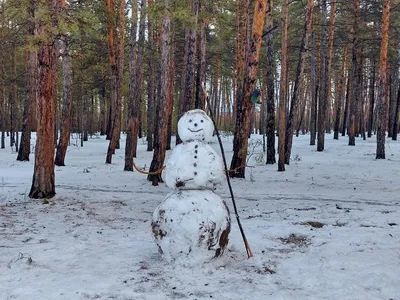 Веселый снеговик кидает снежок в …» — создано в Шедевруме