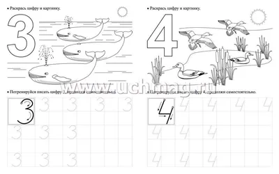 Альбом «Веселый счет» (11 фото). Воспитателям детских садов, школьным  учителям и педагогам - Маам.ру
