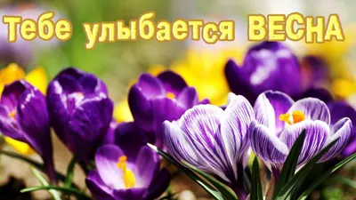 Весенние Цветы. Весело И Мило Вектор Весенние Цветы Клипарты, SVG, векторы,  и Набор Иллюстраций Без Оплаты Отчислений. Image 54901141