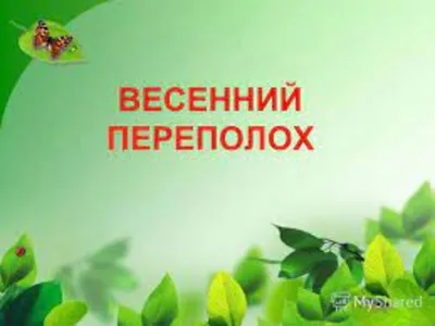 Открытка с первым весенним воскресеньем | Доброе утро, Открытки, Веселые  фото