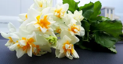 Весенние цветы в корзинке - заказать доставку цветов в Москве от Leto  Flowers