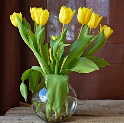 Тюльпаны - любимые весенние цветы! Новое платье за 764 руб. | С камерой в  руках. | Дзен