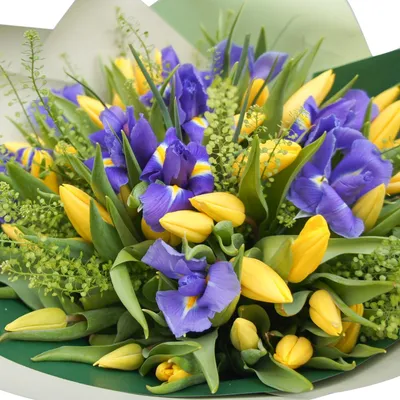 Купить Цветы в коробке Тюльпаны Весенние в Москве | Заказать Цветы в  коробке Тюльпаны Весенние недорого с доставкой