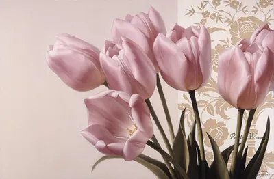 Весенний букет из сиреневых тюльпанов - Доставкой цветов в Москве! 10128  товаров! Цены от 487 руб. Цветы Тут
