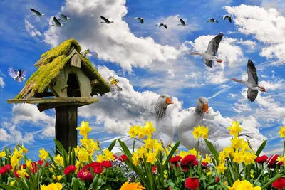 Обои весна цветы весенние цветы - бесплатные картинки на Fonwall